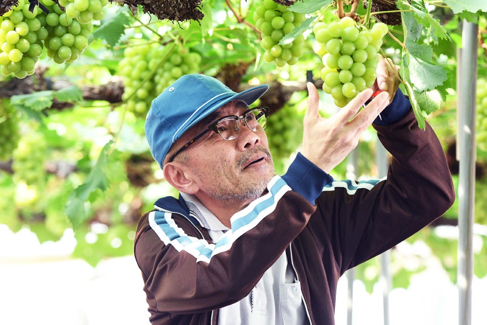 竹中直人（C）『しあわせのマスカット』製作委員会