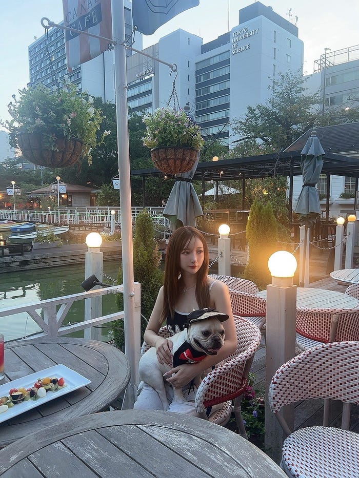 ワンちゃんとお出かけ(提供画像)