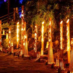 幽玄の竹あかり/提供画像