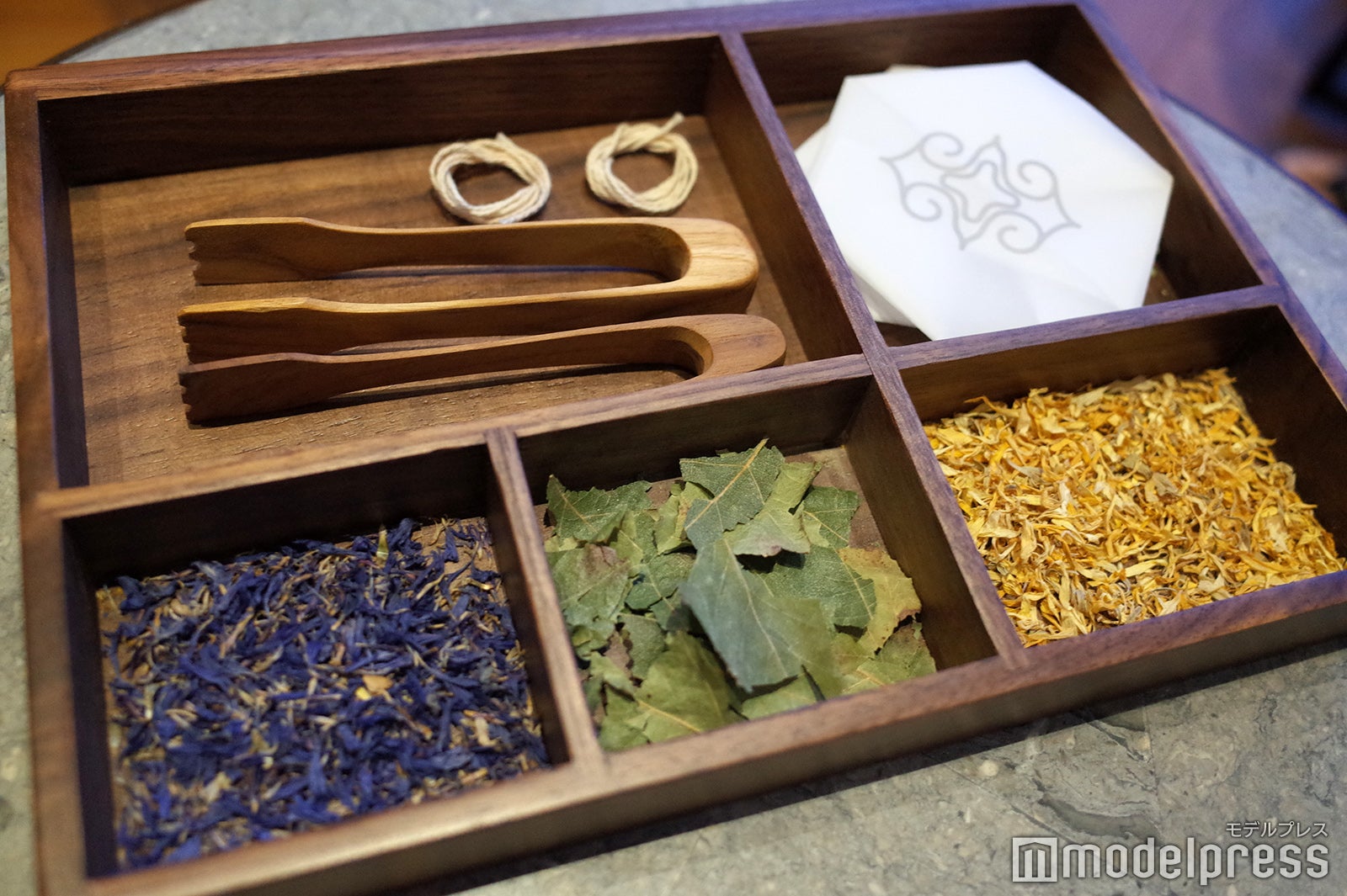 界 ポロト（C）モデルプレス