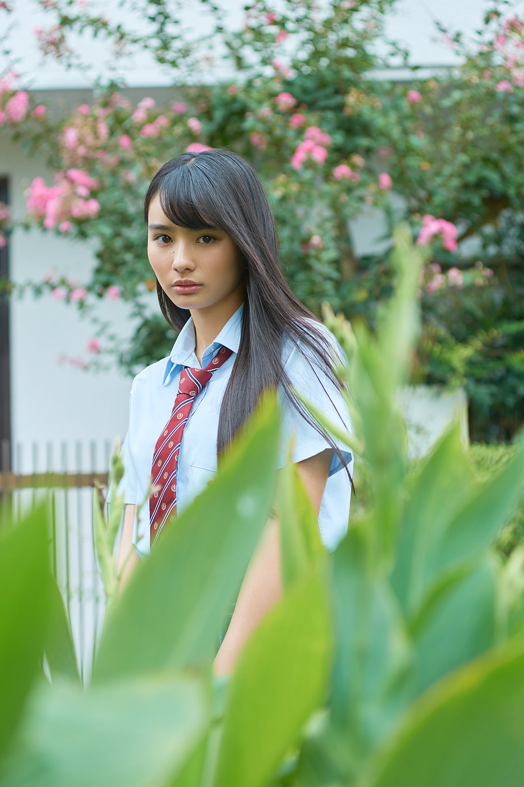 豊島心桜（提供写真）