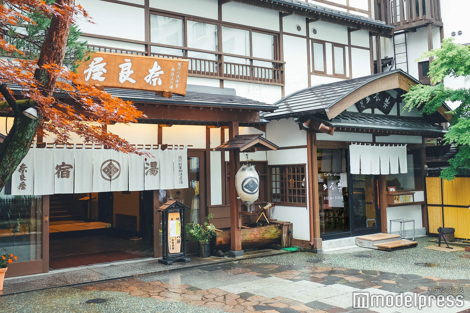 奈良屋 喫茶去（C）モデルプレス