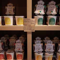 ノゾホテル(C)モデルプレス