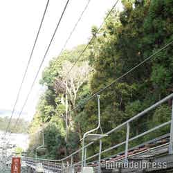 天橋立(C)モデルプレス