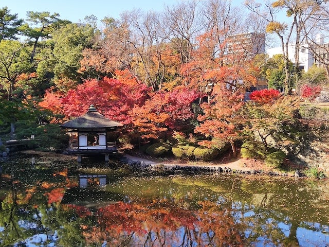 【和歌山】秋しかみられない絶景♡ 地元民や観光客も訪れる「紅葉スポット」