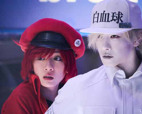 永野芽郁&佐藤健が密着「はたらく細胞」胸キュン新場面写真解禁【モデルプレス独占】