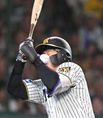 死球禍に阪神・藤川監督提案プロテクターの導入が見送られた背景とは 「フェアではない」「投手不利になる」などの声も