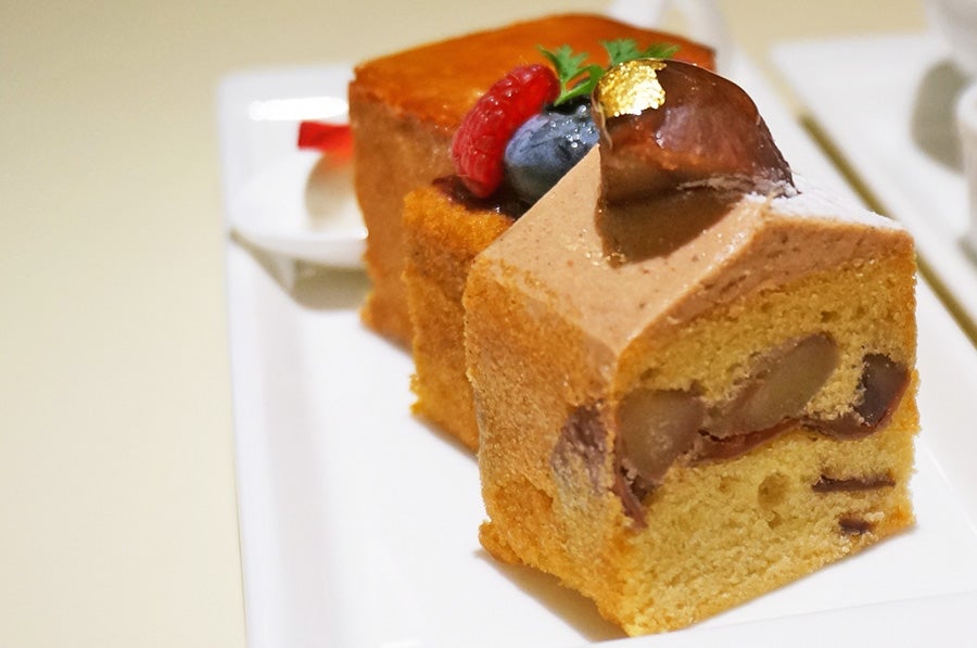 パブロフパブロフセット