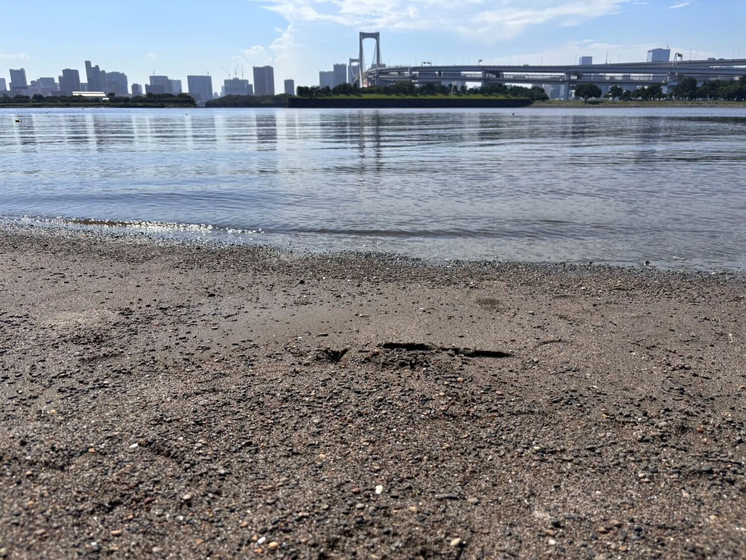 古敷谷宗「海のはじまり」（提供写真）