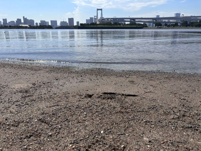 古敷谷宗「海のはじまり」(提供写真)
