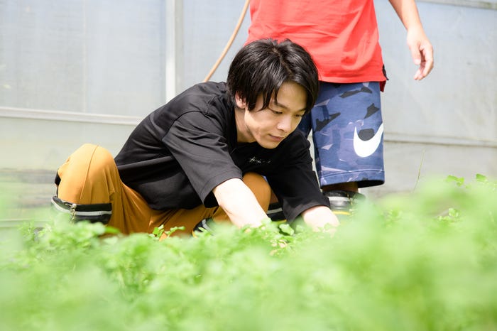 中村倫也 (C)日本テレビ