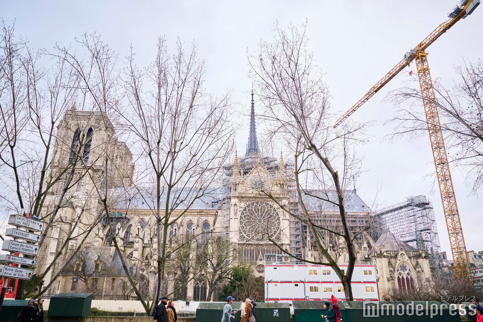 ノートルダム大聖堂（C）モデルプレス