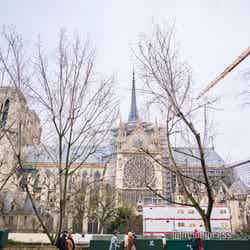 ノートルダム大聖堂(C)モデルプレス