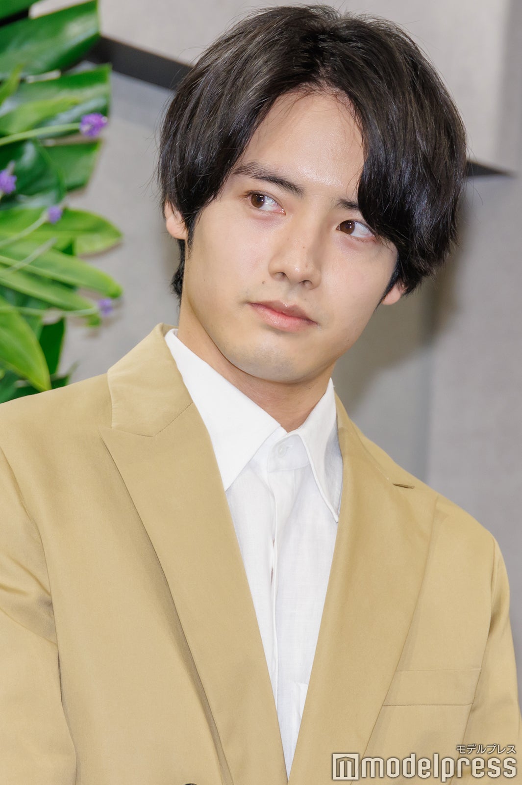 赤楚衛二（C）モデルプレス