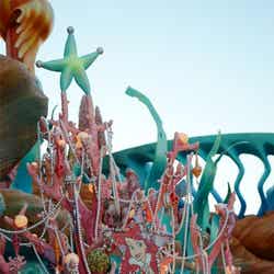 マーメイドラグーン・ツリー