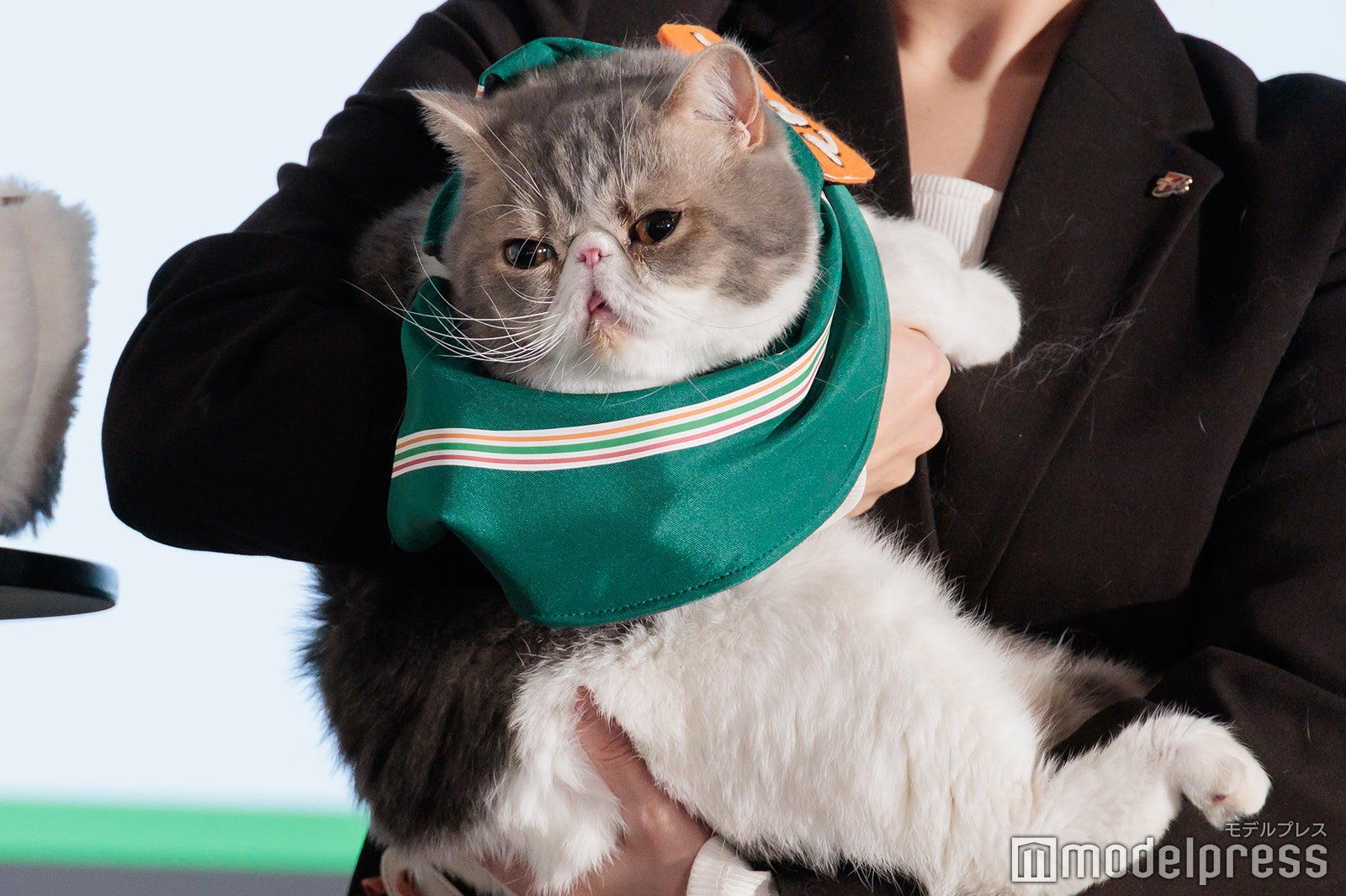 ポセイドンくん（C）モデルプレス