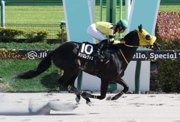 【青竜S】ドンエレクトス 3馬身半差の快勝劇 オープン初Vに荻野極が絶賛「強い勝ちっぷり。今後に弾みつく」