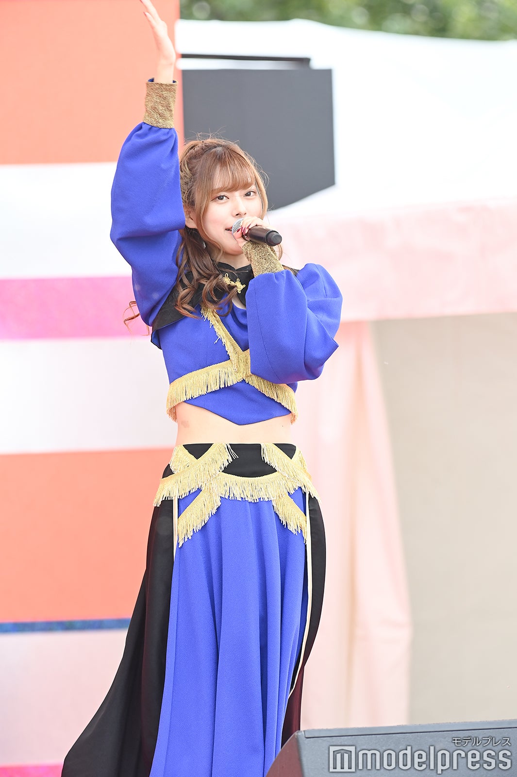 豆柴の大群（C）モデルプレス