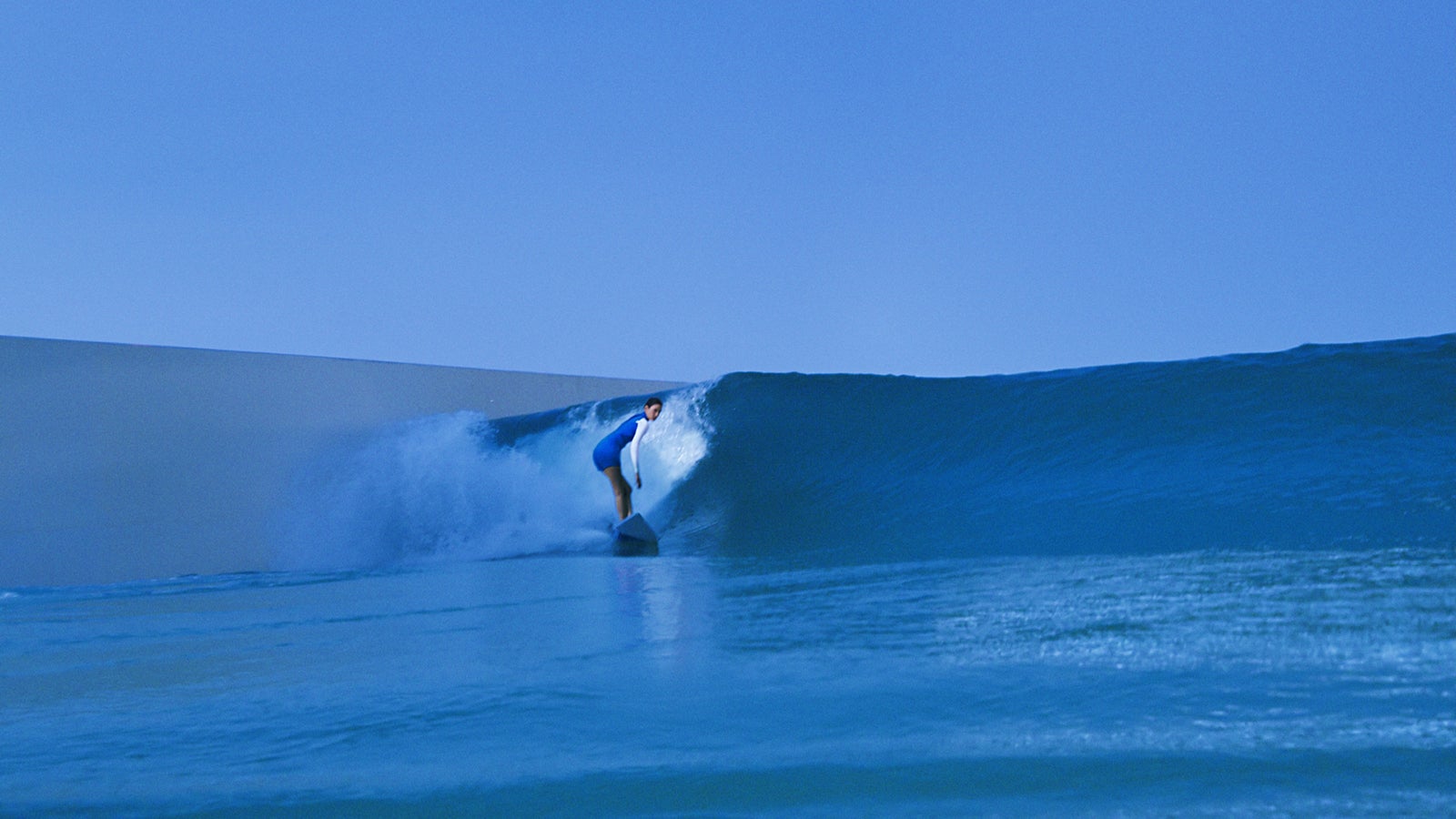 菜々緒（提供写真）