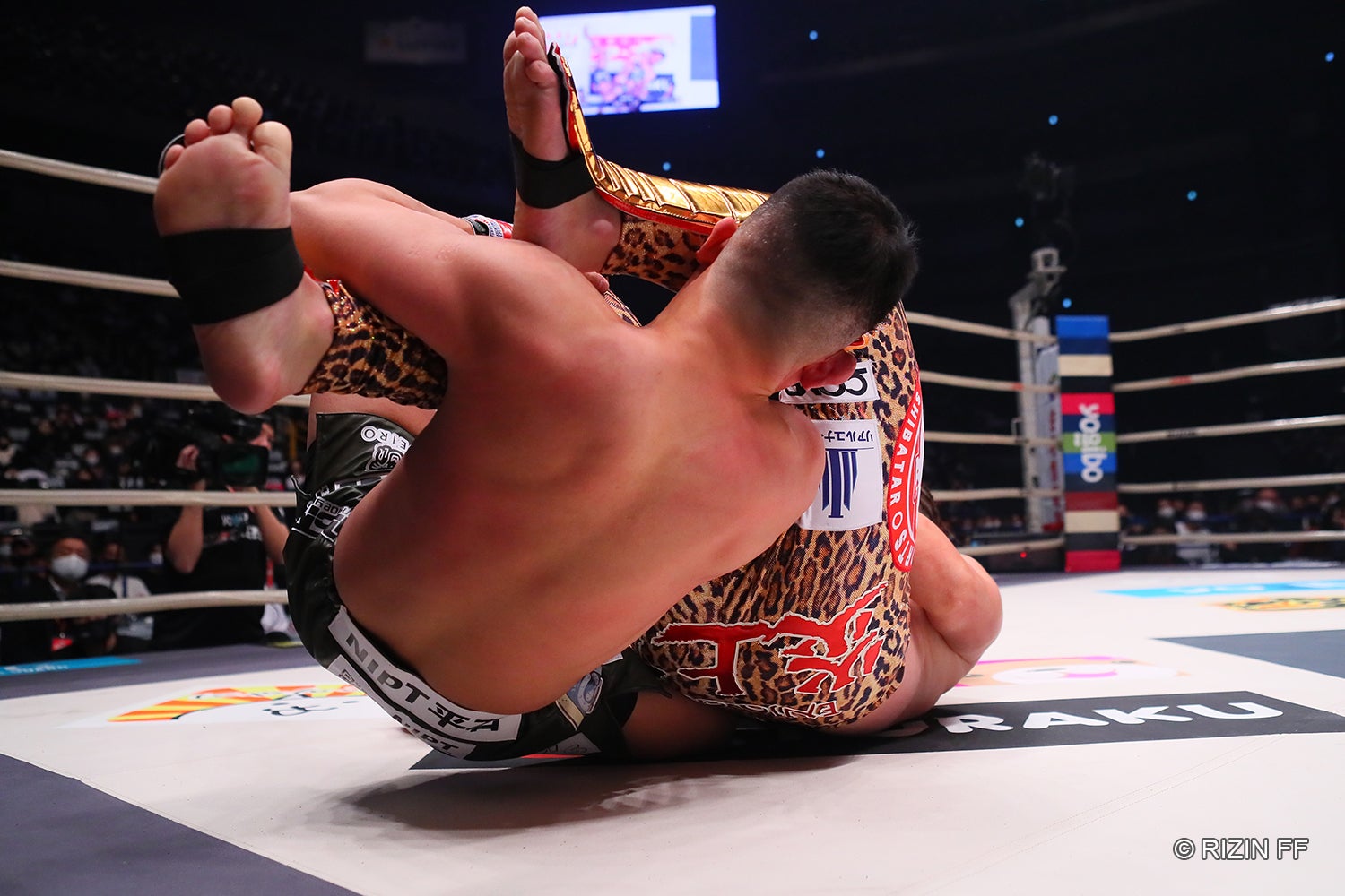 シバターVSHIROYA（C）RIZIN FF