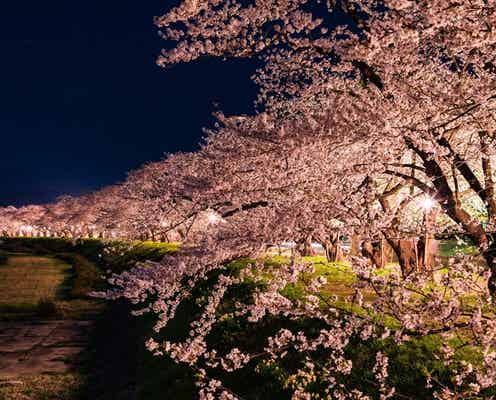 “世界で最も注目を集める旅行先”日本が初受賞、有名旅行誌が発表