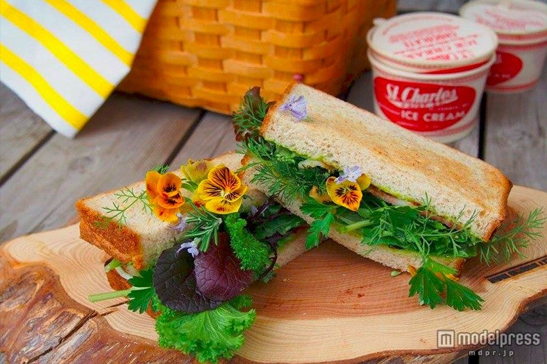 お洒落な街で美味しいパンが食べたい 表参道で気軽に入れるベーカリー5選