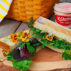 お洒落な街で美味しいパンが食べたい 表参道で気軽に入れるベーカリー5選/「ピクニックサンド」¥750/画像提供:Garten【モデルプレス】