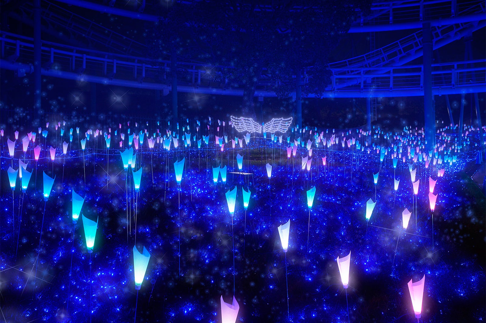 光の花園／画像提供：京阪電気鉄道