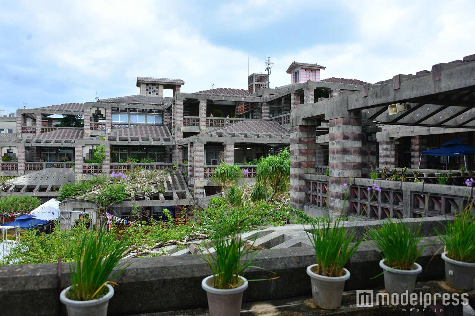 名護市庁舎（C）モデルプレス