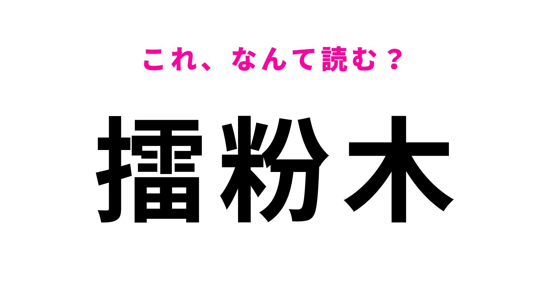 【漢字クイズ】「擂粉木」はなんて読む？すり鉢と一緒に使う道具です！