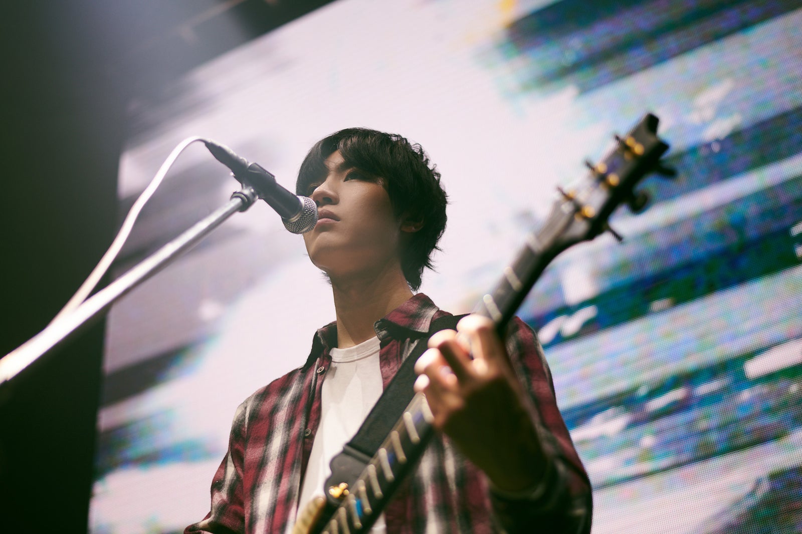 桜田通／LACTIC ACIDのライブカット（提供写真）