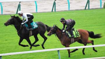 【新馬戦】スワッグウォーク セレクトセールで2億5000万円の高額馬が武豊背にデビュー 武幸師「能力は感じます」