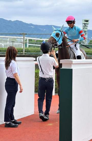 【新馬戦】ヤマニンガルブ ゴール前とらえた！デビューV 前川師「体に余裕あるなかで強い勝ち方をしてくれた」