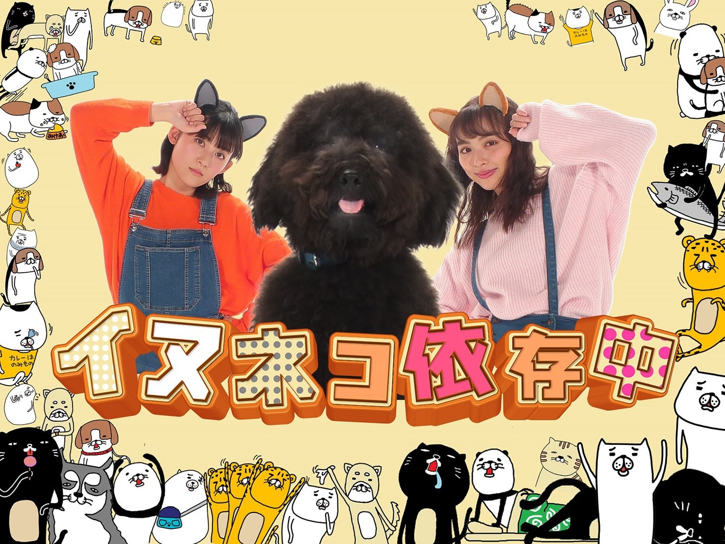 「イヌネコ依存中」（提供写真）