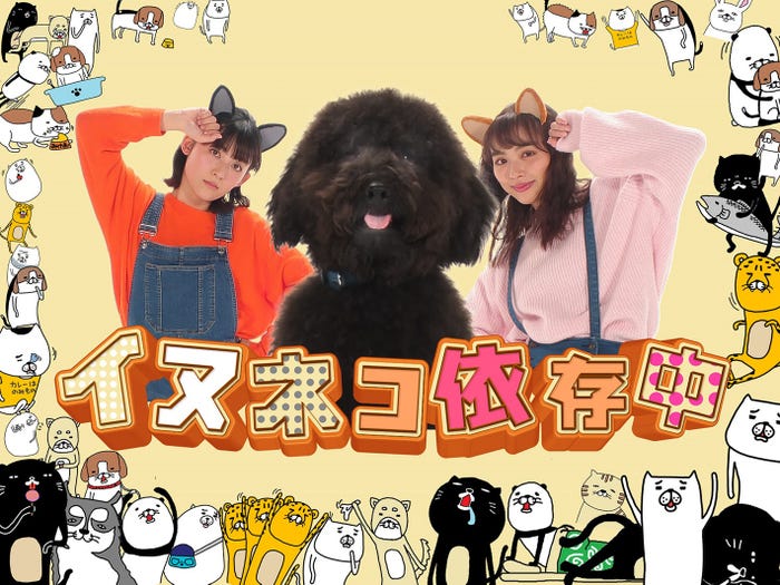 「イヌネコ依存中」(提供写真)