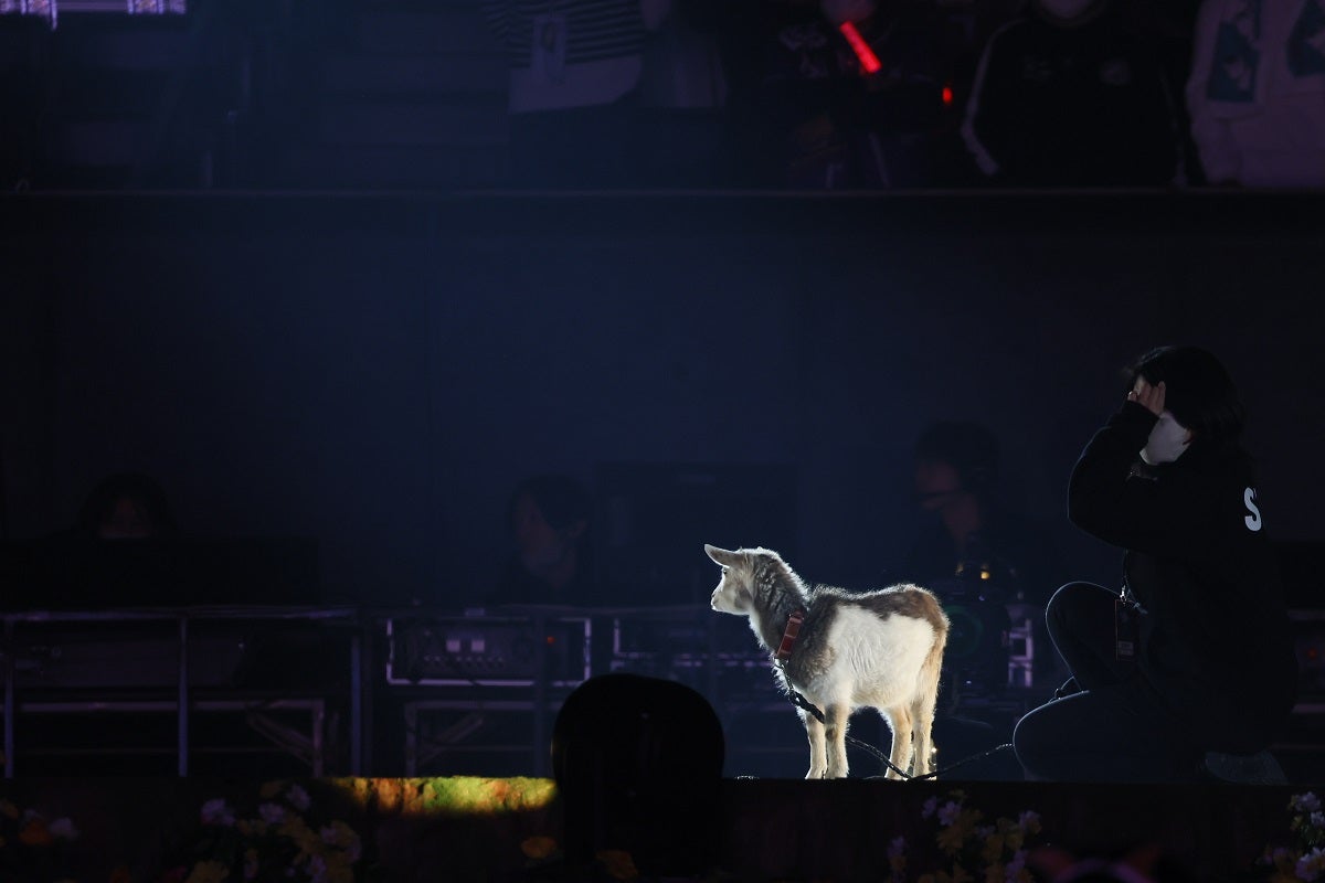 「乃木坂46与田祐希 卒業コンサート」（提供写真）