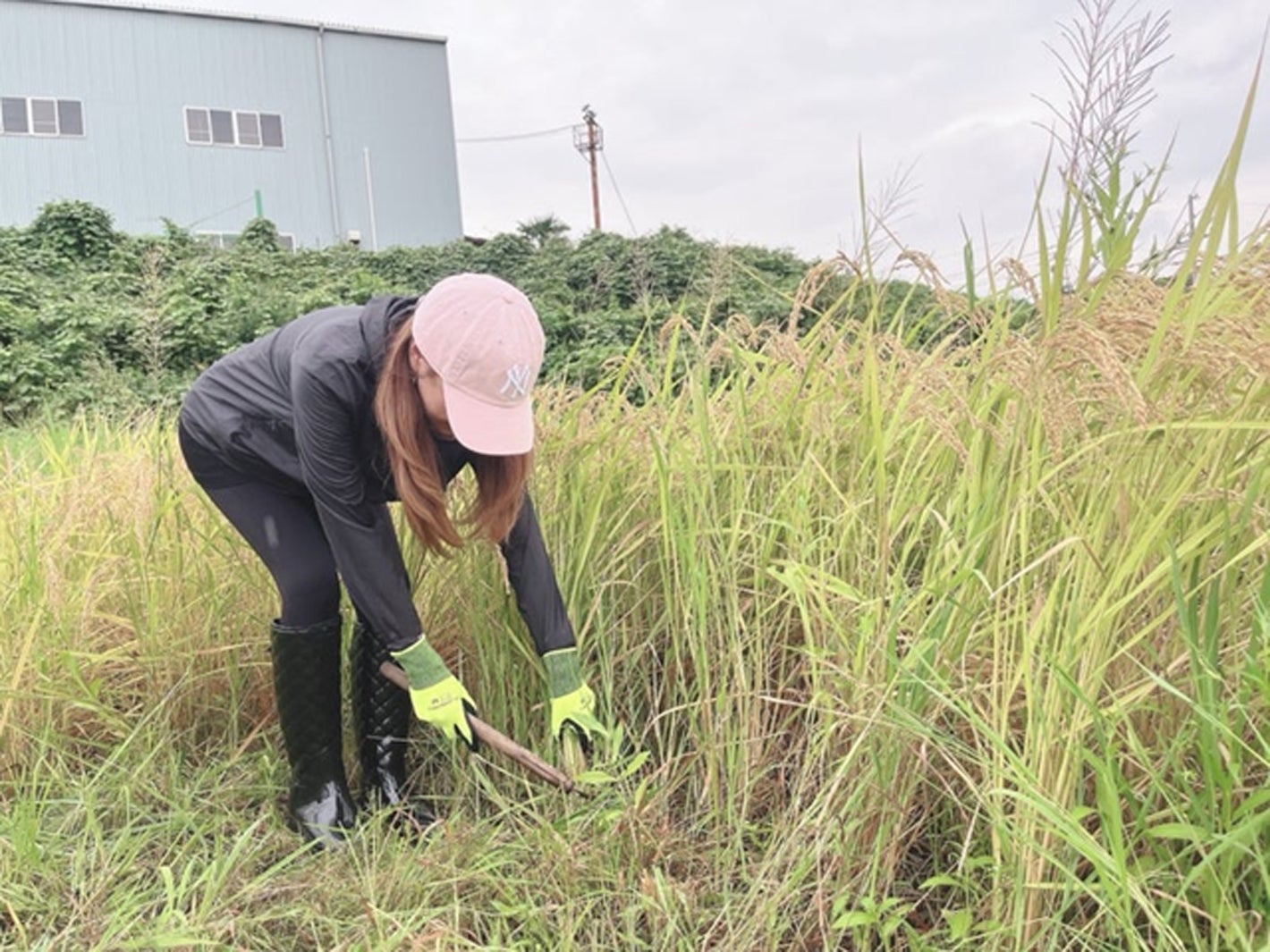 渡辺美奈代ブログより