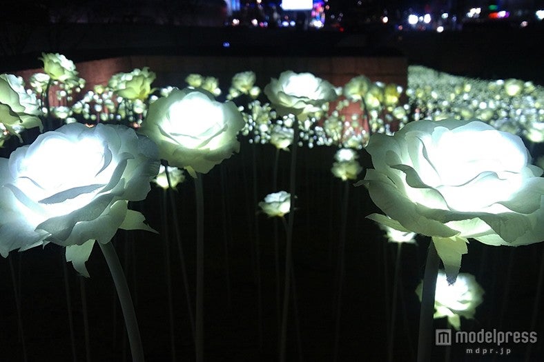 ／画像提供：韓国観光公社