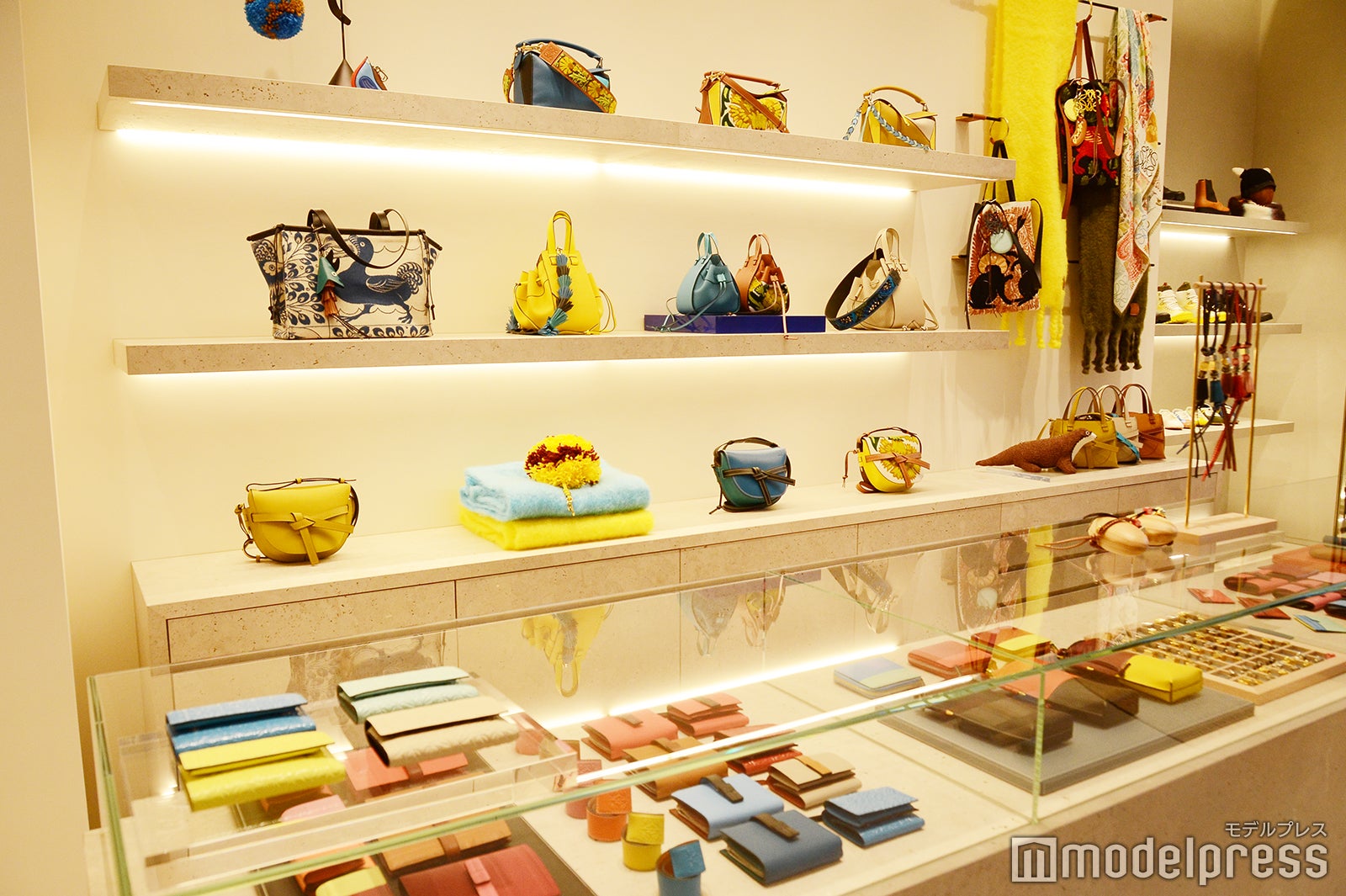 ロエベ（C）モデルプレス