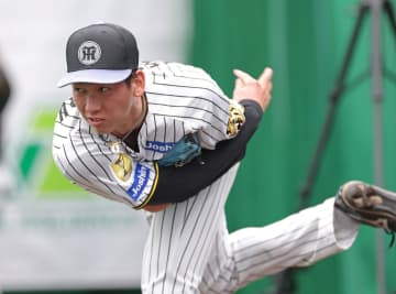 阪神 今キャンプ初の紅白戦 今朝丸2回0封、西純は中前打など投打でアピール 痛いアクシデント連発も