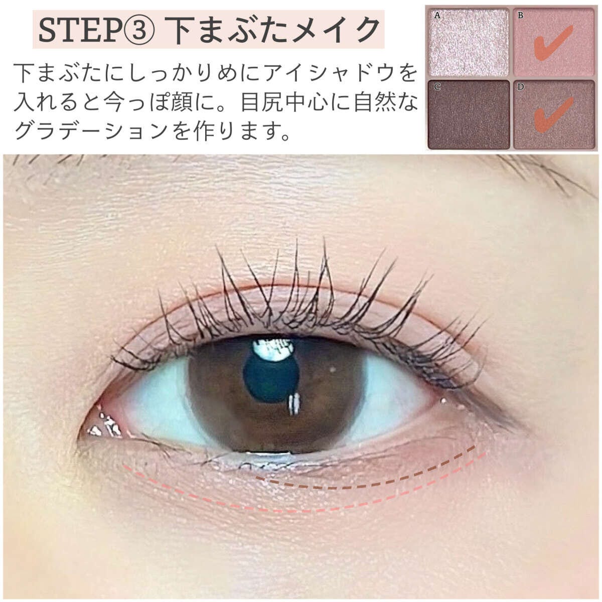 下まぶた目尻側三分の一を中心に色を入れるSTEP3の解説