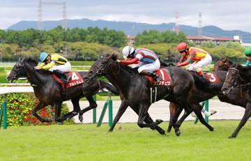 【神戸新聞杯】ロブチェン鼻差の大接戦制した！菊へ視界良好 史上初同騎手＆調教師の牡牝W3冠へ不安なし 年間100勝達成の松山導いた