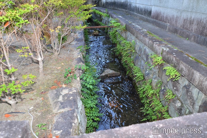 門のそばには川も（C）ビューティーガール