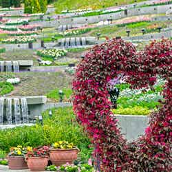 充実度UP!「ネスタリゾート神戸」に温泉、花畑、ホテルが新たにオープン/ハートの池/画像提供:ネスタリゾート神戸