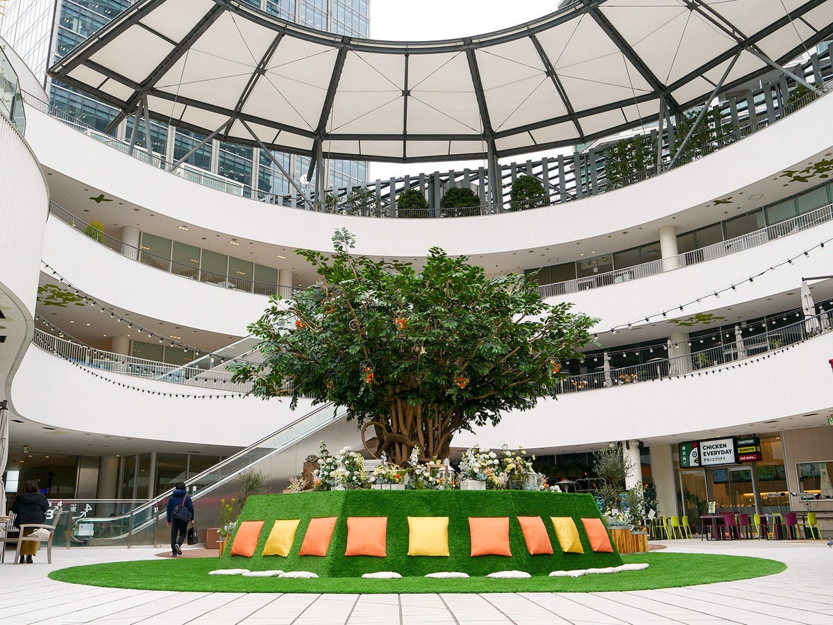 オープンモールの商業施設「横浜ベイクォーター」はペットと一緒に散歩OK（画像はシンボルツリーイベントの様子）