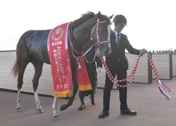 シンエンペラー引退 アロースタッドで種牡馬入り 矢作師「今後、万全な体調にさせることが難しいと判断」