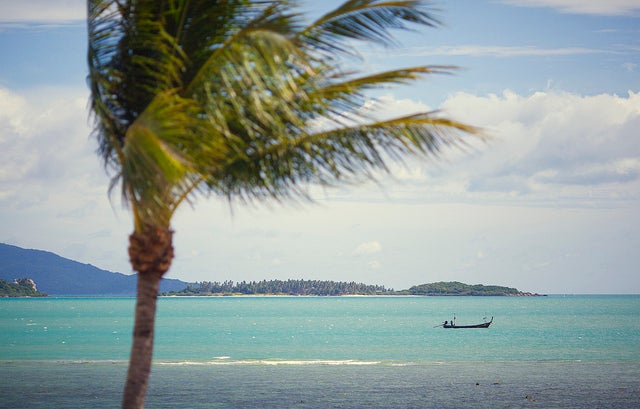 「サムイ」のビーチ／photo by Aurimas Adomavicius