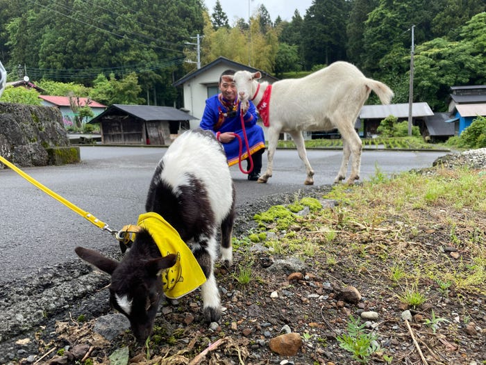 赤ちゃんヤギ、大悟、ポポ(C)テレビ東京