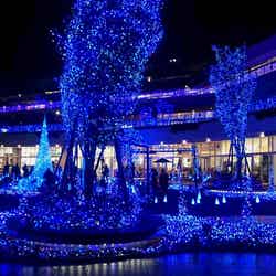 Terrace Mall 湘南 Xmas Illumination 2016／画像提供：住商アーバン開発