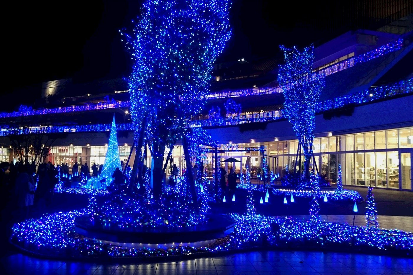 Terrace Mall 湘南 Xmas Illumination 2016／画像提供：住商アーバン開発